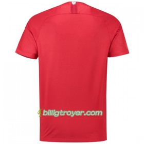 Billige Fotballdrakter Polen VM 2018 Bortedraktsett Kortermet